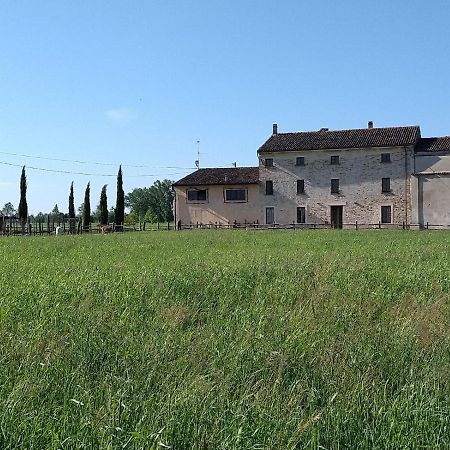 B&B Castel Goffredo San P 3 Exterior foto