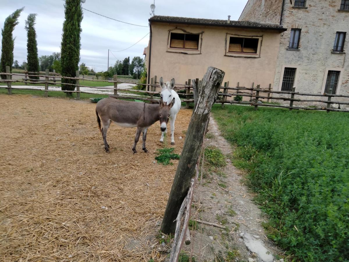 B&B Castel Goffredo San P 3 Exterior foto