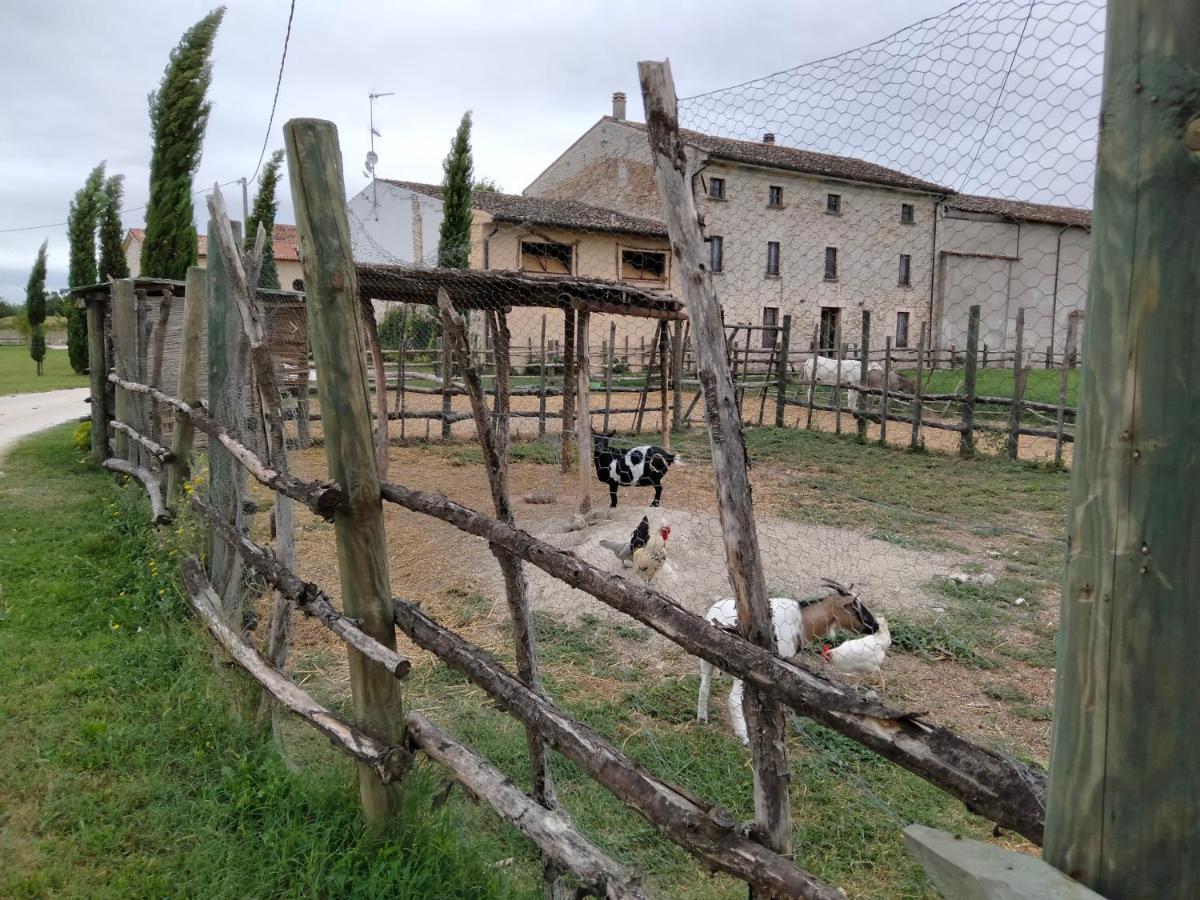 B&B Castel Goffredo San P 3 Exterior foto